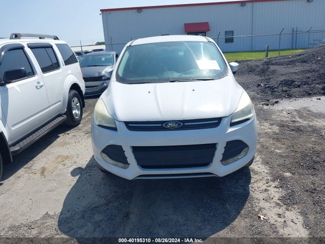 Ford ESCAPE SE 2014 1FMCU0GX8EUC70061 Image 6