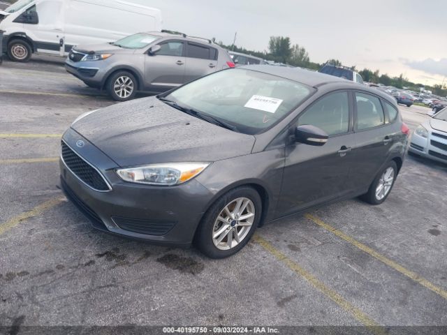 1FADP3K24FL301333 Ford FOCUS SE