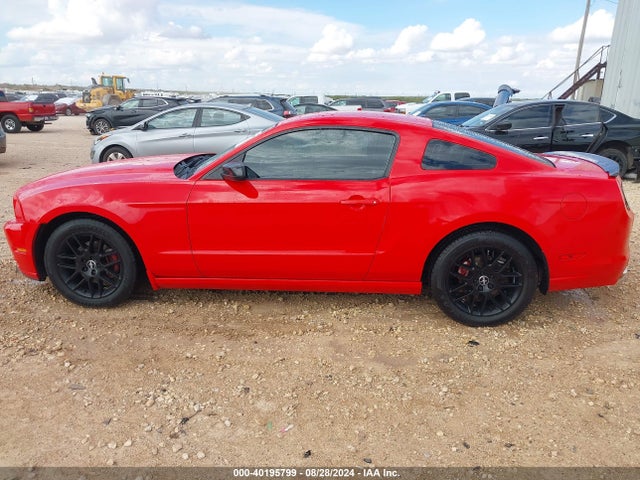 Ford Mustang V6 2014 1ZVBP8AM3E5299012 Image 14