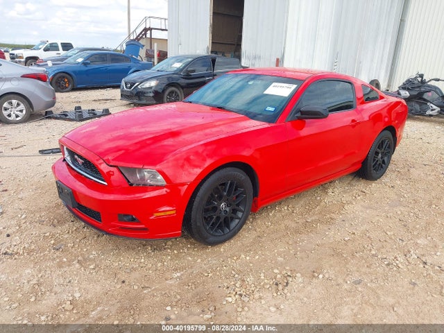 Ford Mustang V6 2014 1ZVBP8AM3E5299012 Image 2