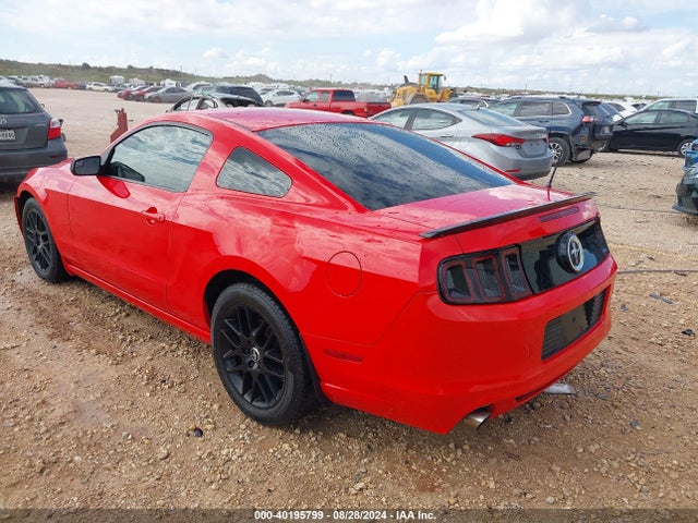 Ford Mustang V6 2014 1ZVBP8AM3E5299012 Image 3