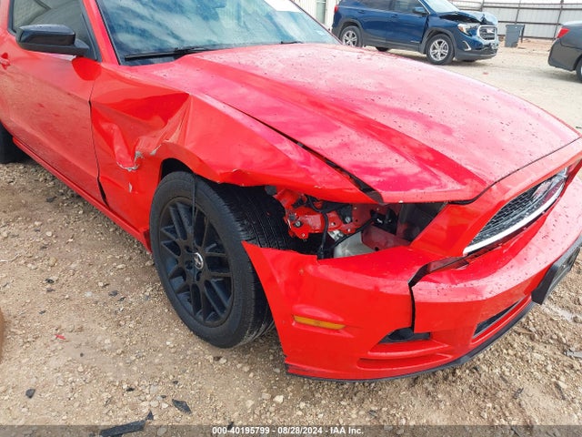 Ford Mustang V6 2014 1ZVBP8AM3E5299012 Image 6