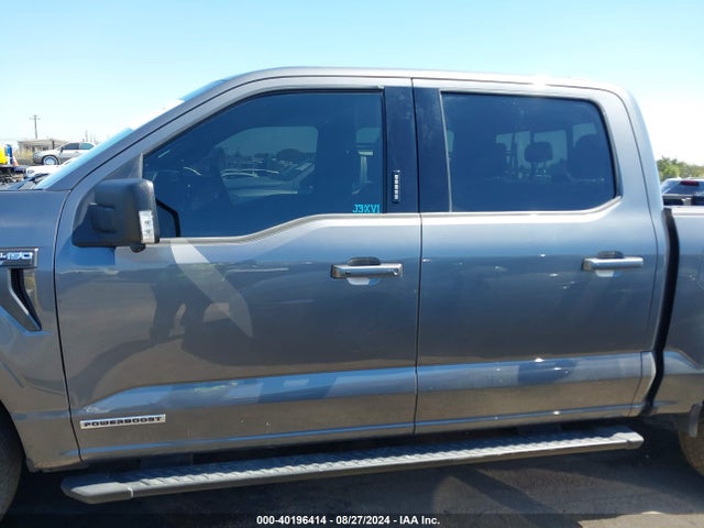 Ford F-150 Xlt 2023 1FTFW1ED7PFC14467 Image 14