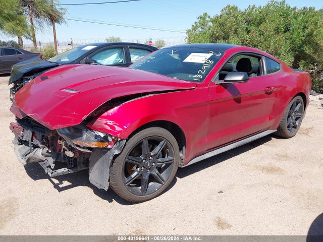 Ford Mustang Ecoboost Fastback 2020 1FA6P8TH4L5182918 Image 2