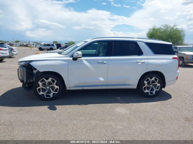 KM8R7DHE8MU221642 Hyundai Palisade Calligraphy