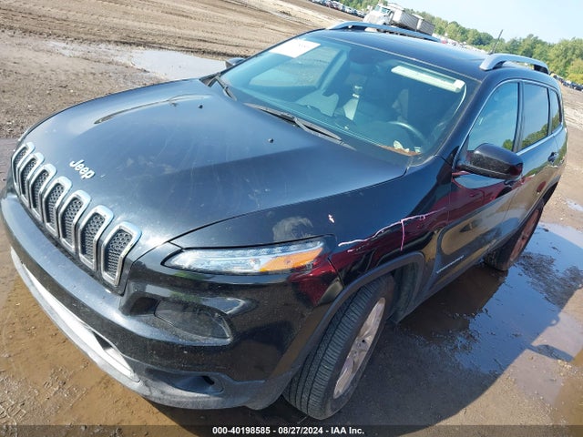 Jeep Cherokee Limited 2016 1C4PJMDS2GW241371 Image 2