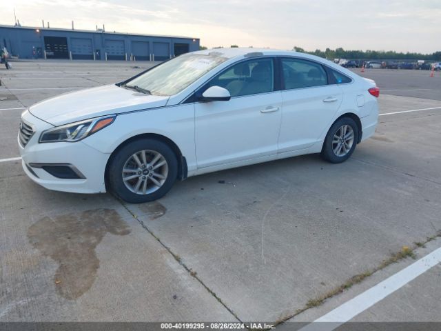 5NPE24AF6GH302464 Hyundai SONATA SE
