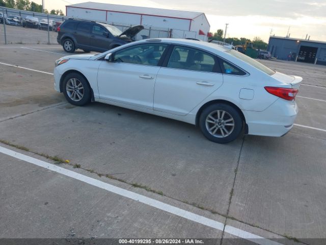 5NPE24AF6GH302464 Hyundai SONATA SE