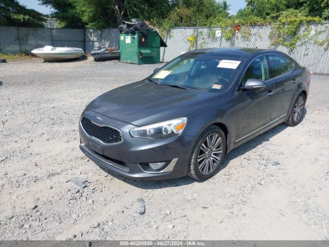 KNALN4D70E5121373 KIA Cadenza Premium