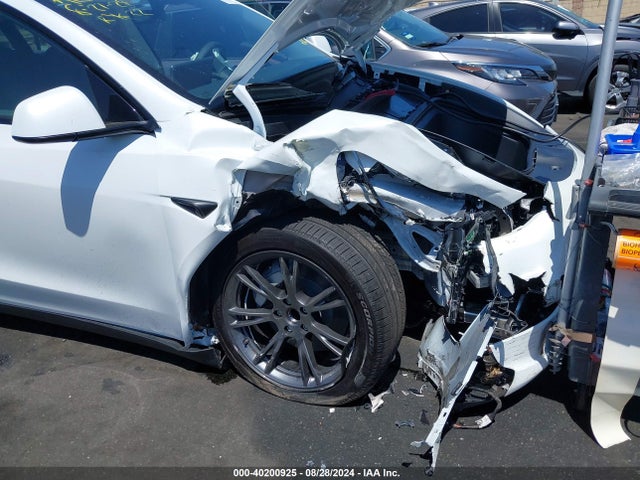 2024 TESLA MODEL Y 7SAYGDED0RF163654 Photo 5
