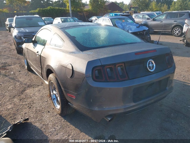 Ford Mustang V6 2014 1ZVBP8AM8E5288880 Image 3
