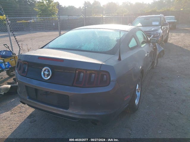 Ford Mustang V6 2014 1ZVBP8AM8E5288880 Image 4