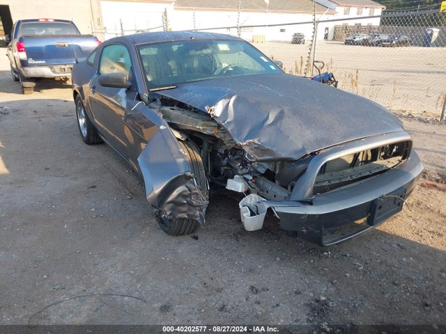 Ford Mustang V6 2014 1ZVBP8AM8E5288880 Image 6
