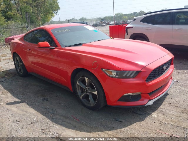 2015 1FA6P8TH5F5430033 main image