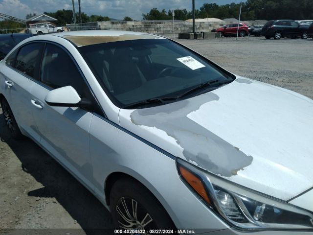 5NPE24AF5GH379083 Hyundai SONATA SE