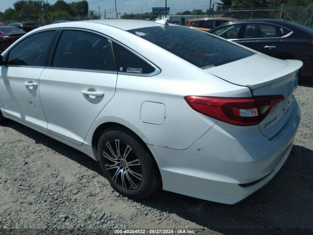 5NPE24AF5GH379083 Hyundai SONATA SE