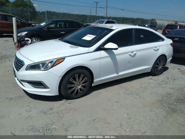 5NPE24AF5GH379083 Hyundai SONATA SE