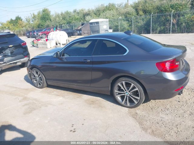 WBA1G9C52GV599280 BMW 228i Xdrive