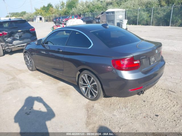 WBA1G9C52GV599280 BMW 228i Xdrive