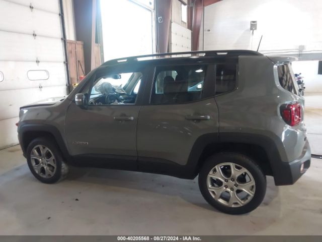 ZACNJBD17LPM02918 Jeep Renegade Limited 4x4