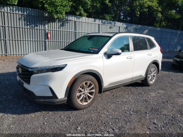 2HKRS4H73RH481274 Honda Cr-v Ex-l Awd