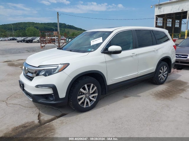 Honda Pilot Ex-l 2019 5FNYF6H51KB047272 Image 2