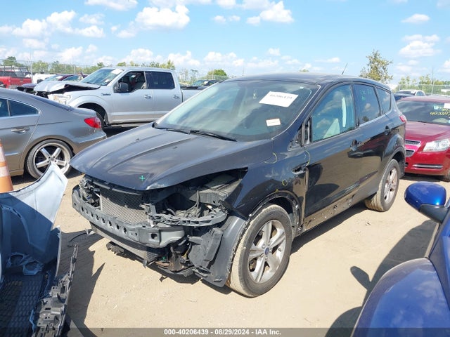 Ford ESCAPE SE 2014 1FMCU0GX7EUB06719 Image 2