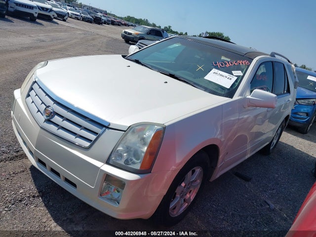 2006 CADILLAC SRX 1GYEE637360194187 Photo 1