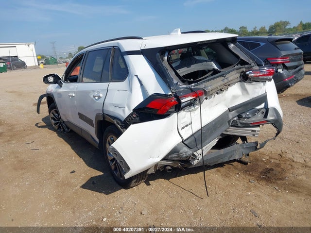 Toyota Rav4 Limited 2019 JTMN1RFV4KD502189 Image 3