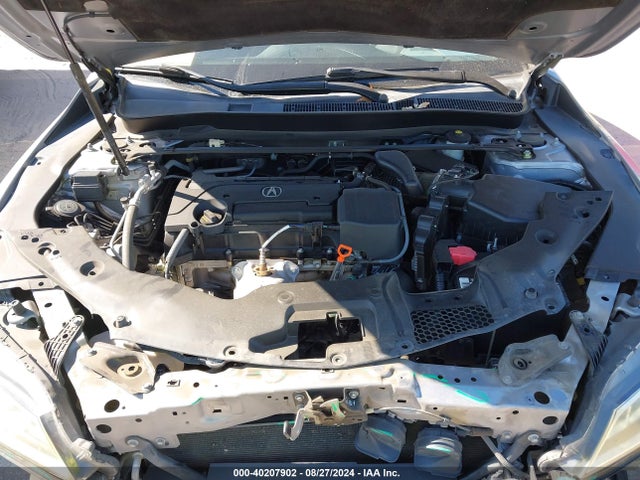 19UUB1F3XFA013037 Acura TLX