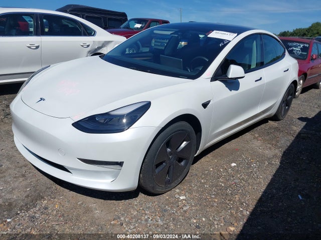 2023 TESLA MODEL 3 5YJ3E1EAXPF561081 Photo 1