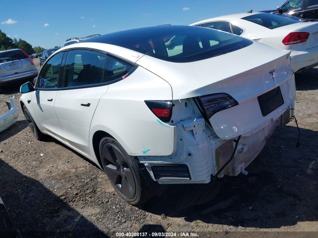 2023 TESLA MODEL 3 5YJ3E1EAXPF561081 Photo 2
