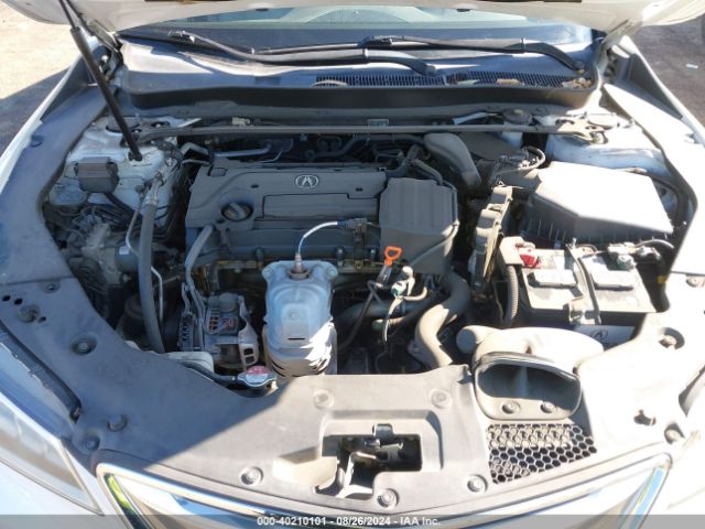 19UUB1F5XFA009281 Acura TLX TECH