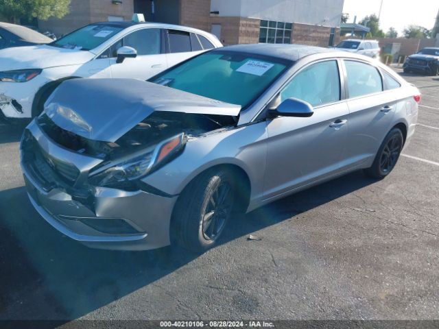 5NPE24AF7GH350216 Hyundai SONATA SE
