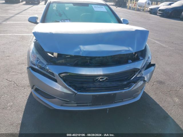 5NPE24AF7GH350216 Hyundai SONATA SE