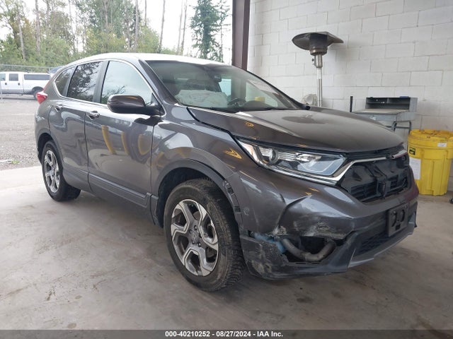 2019 5J6RW2H82KA004165 main image