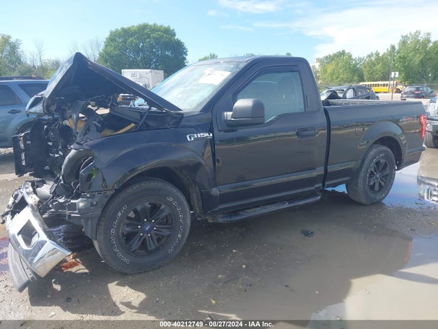 Ford F-150 Xlt 2017 1FTMF1EFXHKD36614 Image 2