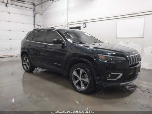 2019 1C4PJMDX7KD439993 main image