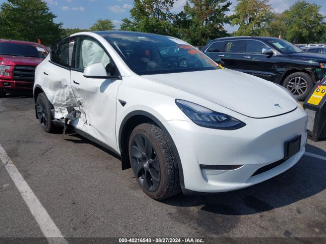 2023 TESLA MODEL Y 7SAYGDEE7PA097672 Photo 0