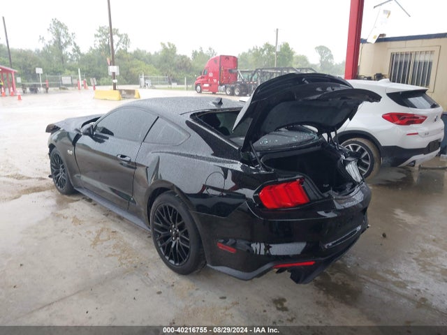 Ford Mustang Gt Fastback 2021 1FA6P8CF6M5105340 Image 3
