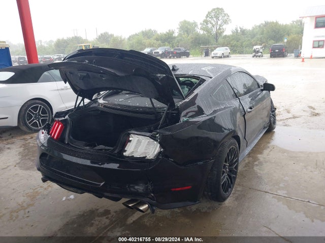 Ford Mustang Gt Fastback 2021 1FA6P8CF6M5105340 Image 4
