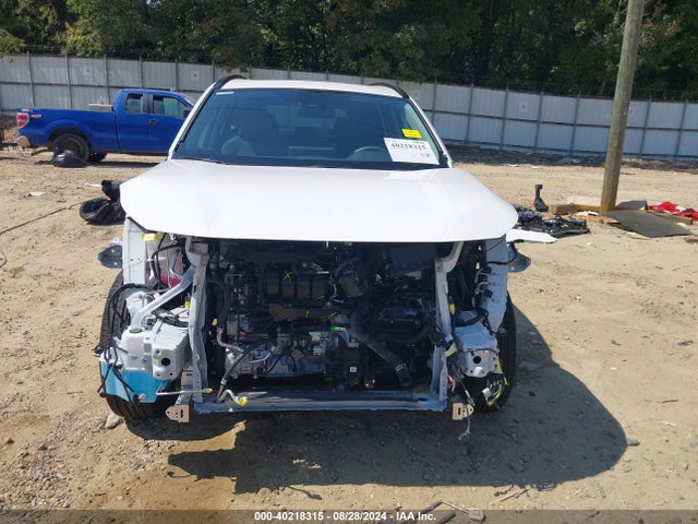 Toyota Rav4 Xle 2024 2T3W1RFV7RC265250 Image 6