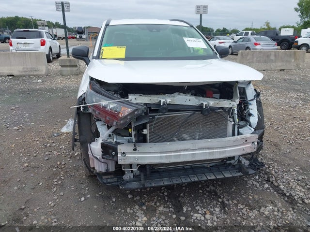 Toyota RAV4 LE 2019 JTMF1RFV8KJ023229 Image 13