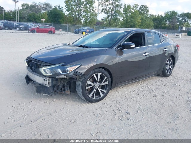 Nissan Maxima 3.5 Sl 2016 1N4AA6AP3GC385729 Image 2