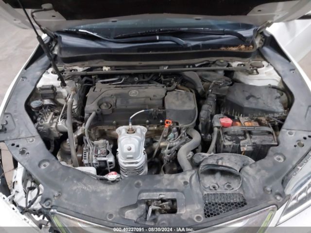 19UUB1F32FA010116 Acura TLX