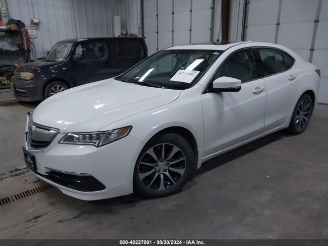 19UUB1F32FA010116 Acura TLX