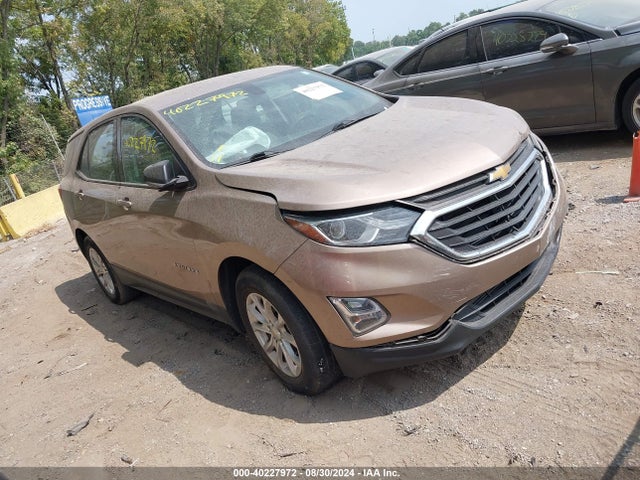 Chevrolet EQUINOX LS 2019 2GNAXHEV6K6120390 Image 1