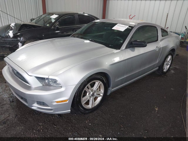 Ford Mustang V6 2014 1ZVBP8AM2E5302532 Image 2