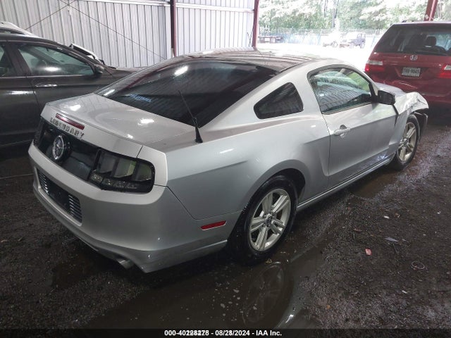 Ford Mustang V6 2014 1ZVBP8AM2E5302532 Image 4
