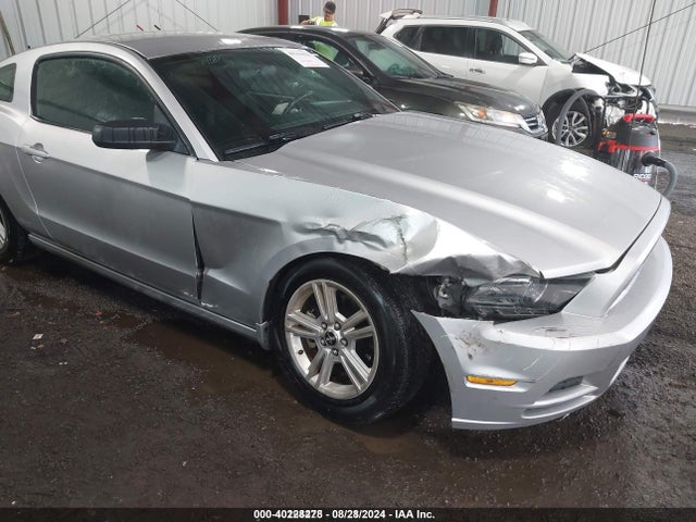 Ford Mustang V6 2014 1ZVBP8AM2E5302532 Image 6